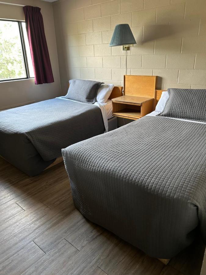 لويدمينستر Cedar Inn المظهر الخارجي الصورة